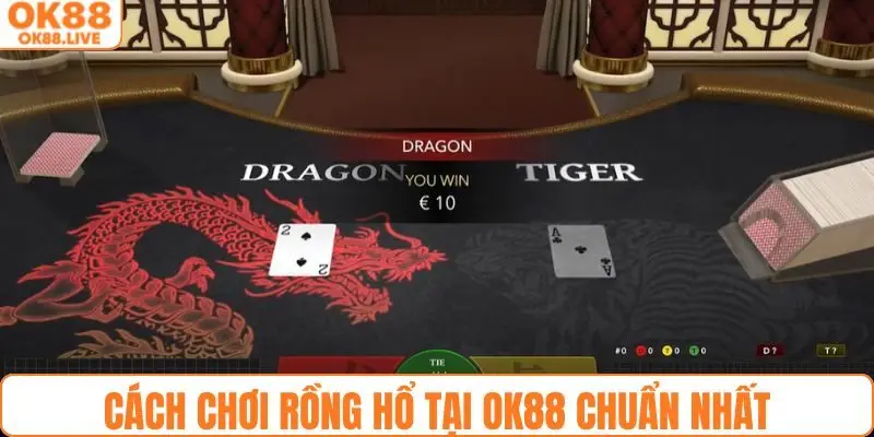 Bật mí cách chơi rồng hổ tại hệ thống OK88