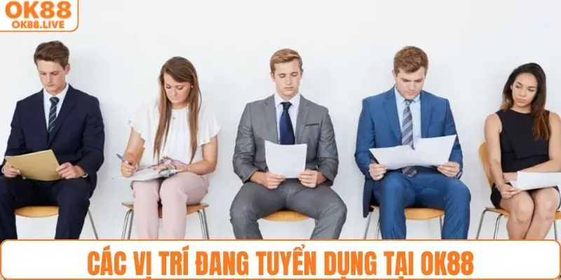 Các vị trí đang nhận hồ sơ ứng tuyển tại nhà cái