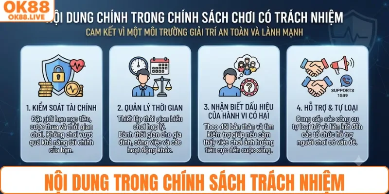 Nội dung trong chính sách trách nhiệm