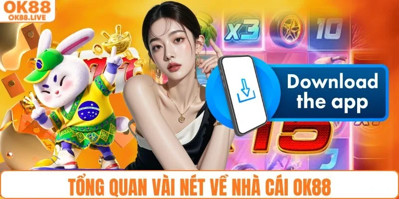 Tổng quan vài nét về nhà cái OK88