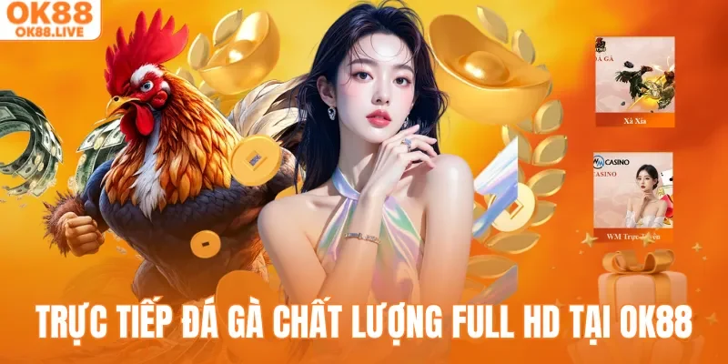 Trực tiếp đá gà chất lượng Full HD cùng OK88 