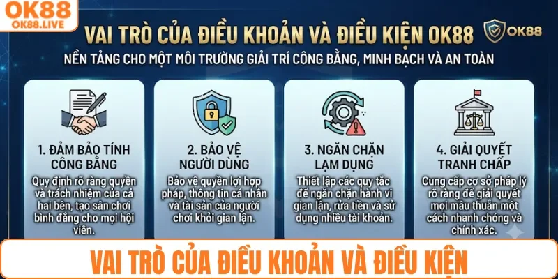 Vai trò của điều khoản và điều kiện